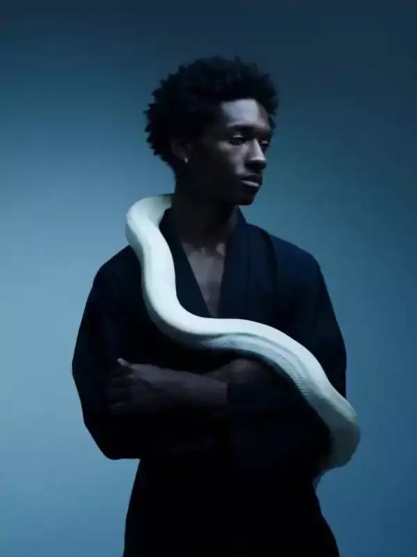 Loading the media file...