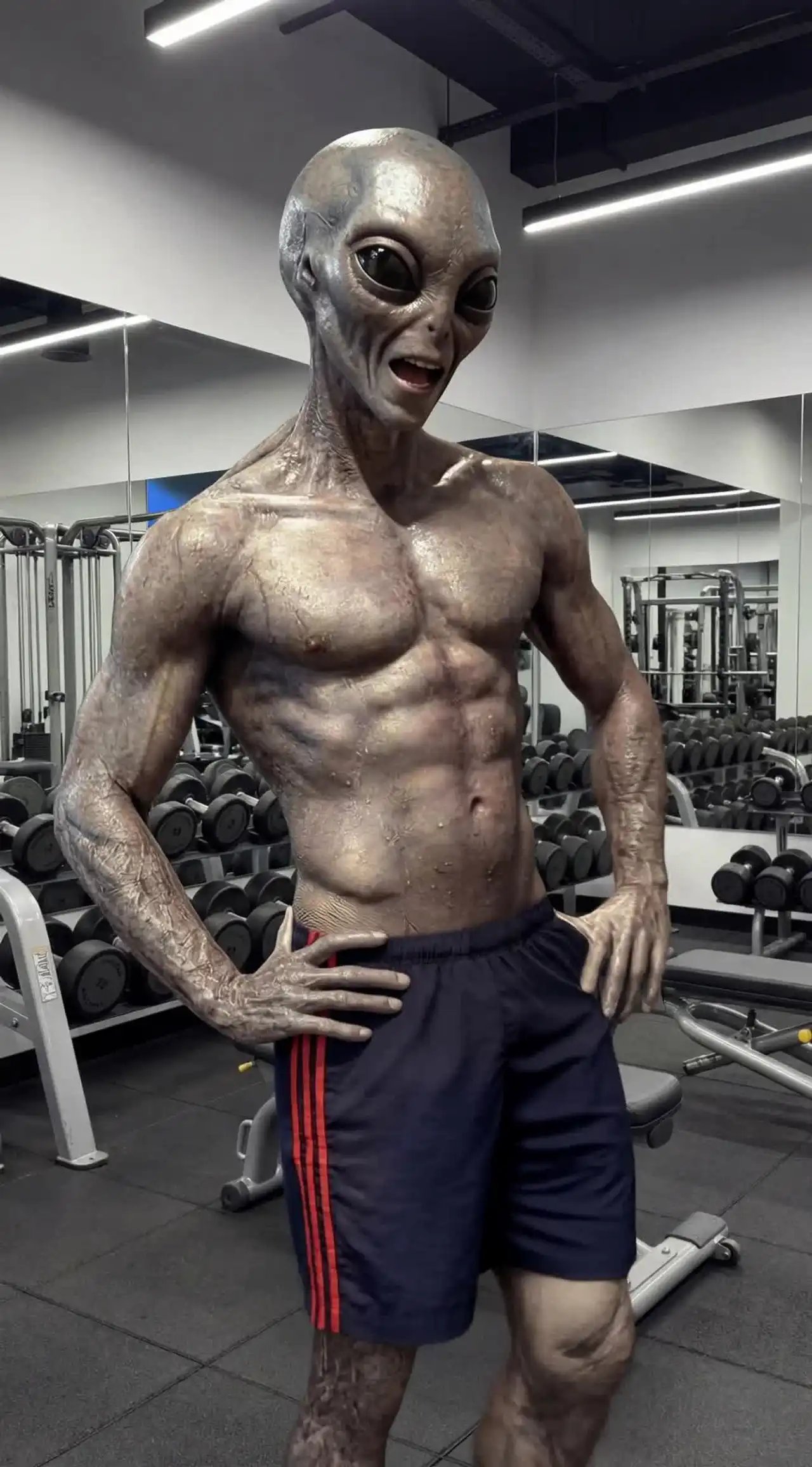 Loading the media file...