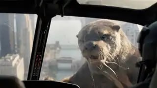 Loading the media file...