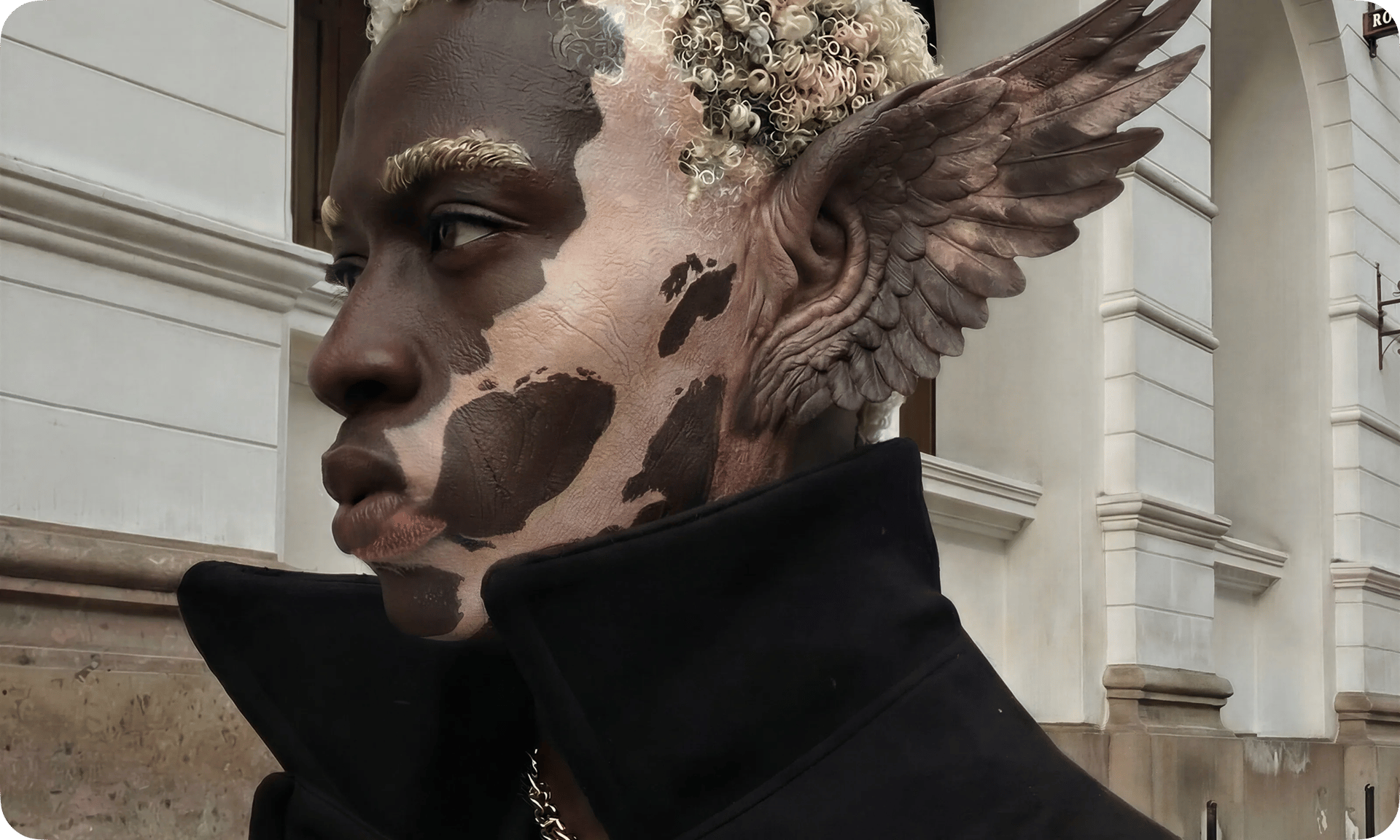 Cinema feature preview